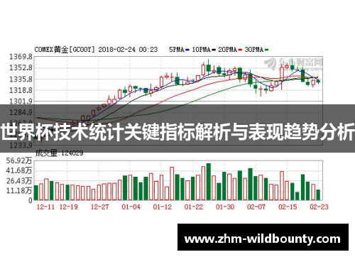 世界杯技术统计关键指标解析与表现趋势分析