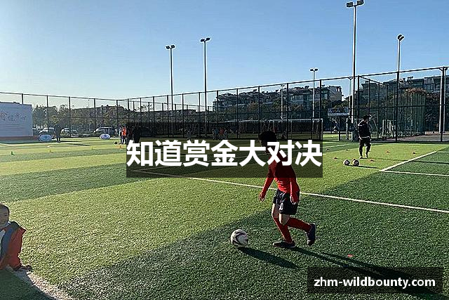 知道赏金大对决